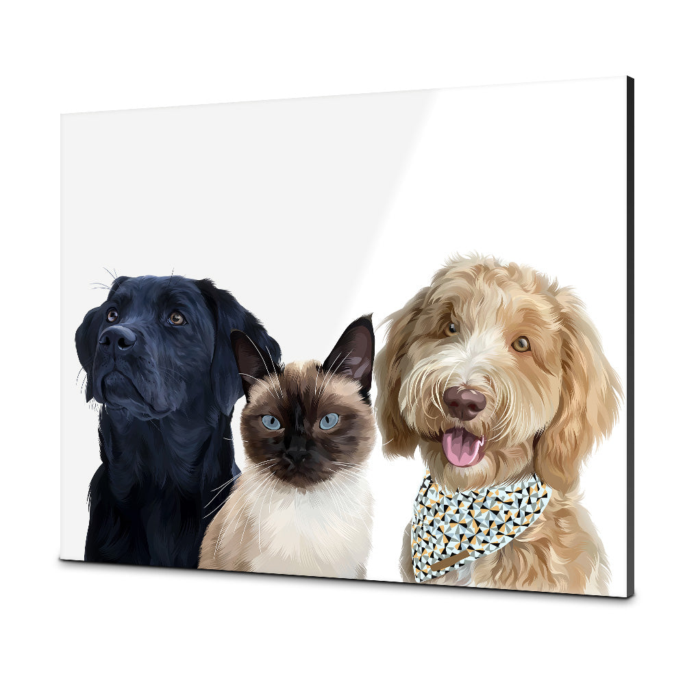 Drie-Wit-Plexiglas-30x40 CM