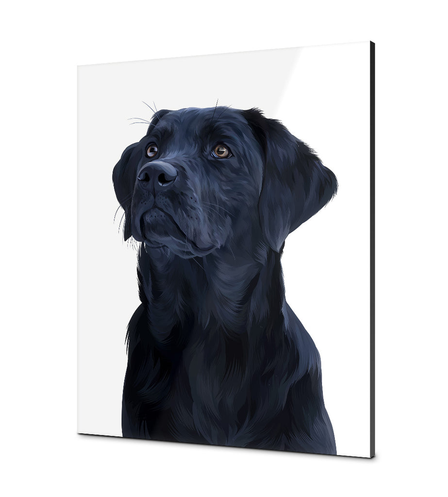 Één-Wit-Plexiglas-30x40 CM